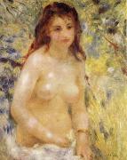 Pierre-Auguste Renoir The female nude under the sun china oil painting reproduction